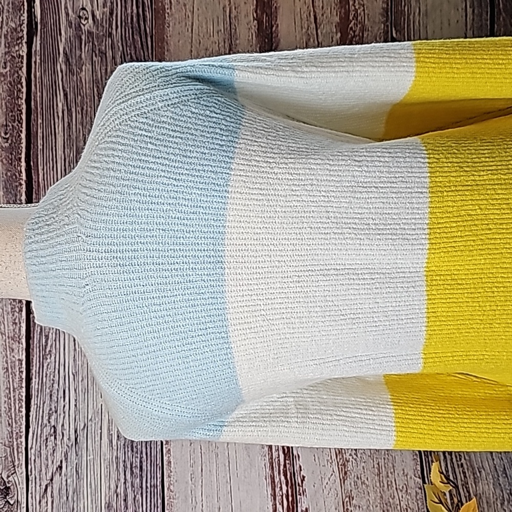 NWT HALOGEN KAYLIEGH BLUE YELLOW PLUS SIZE LONG SLEEVE PULLOVER SWEATER - Picture 6 of 13